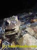 /home//u458753944/public_html/sourcegallery//McKaig Nature Center/2020-09-27/P9270757.JPG